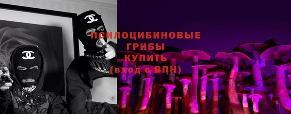 ПСИЛОЦИБИНОВЫЕ ГРИБЫ Алексеевка