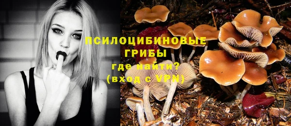 ПСИЛОЦИБИНОВЫЕ ГРИБЫ Алексеевка