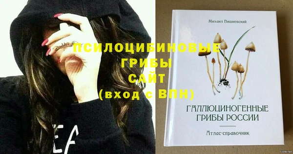 молекула духа Алзамай